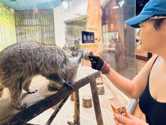 -大连圣亚海洋世界