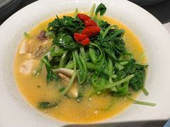 上汤鸡毛菜-荣小馆(临海世纪花城店)