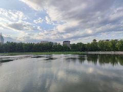 -莲花池公园