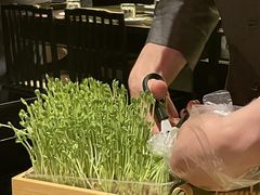 -捞王猪肚鸡火锅(财富中心店)