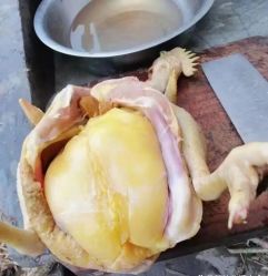 -香薇妮丝·定制减肥·身材管理