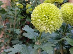 -螃蟹岬(地铁站)