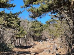 -杭州半山国家森林公园