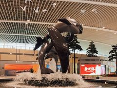 -青岛胶东国际机场