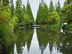 -东平国家森林公园