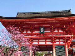 -有栖山 清光院 清水寺