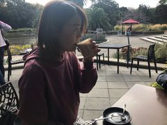-墨尔本皇家植物园