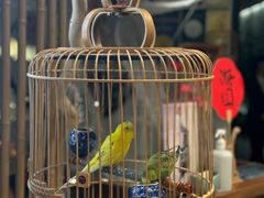-鼎鼎香·港式火锅(北京SKP店)