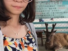 -鹿境梅花鹿生态园区