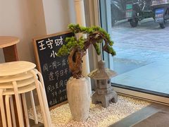 -王守财小山園