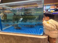 -百姓渔村(南中环店)