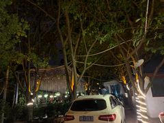 -一只烧鸡公(游仙店)