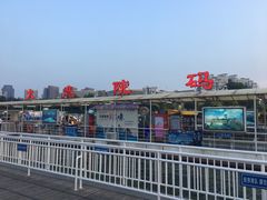 -海河游船-永乐码头(大悲院)