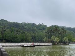 -西樵山风景名胜区-天湖公园