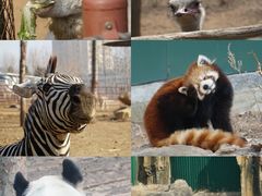 -大连森林动物园