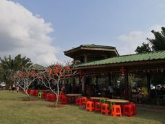 -侯臣咖啡文化村