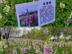 -厦门园林博览苑