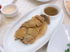 白斩鸡-顺风海鲜港(金玉兰店)