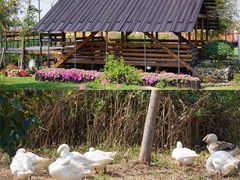 -芒洲湿地公园