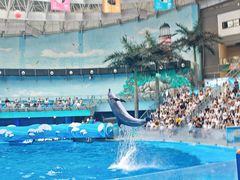 -海合安成都极地海洋公园