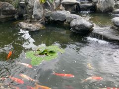 -广东温泉宾馆