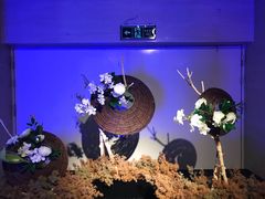 -sugarman espresso素饮糖人高新咖啡工厂