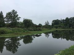 -桤木河湿地公园