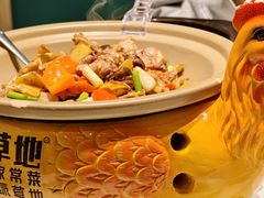 绿草地茶油鸡-绿草地·湘菜(7mall店)