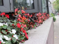 -无影脚佛山陈氏盲公丸始创店(飞鸿街店)