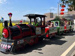 -光明小镇欢乐田园