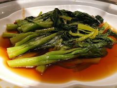 -虹桥机场国航贵宾室v8