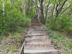 -白草畔自然风景区