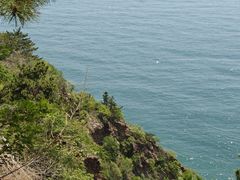 -燕窝岭