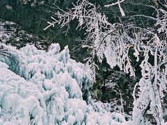 -黑龙潭风景区