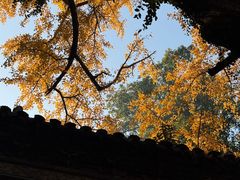 -无锡惠山寺