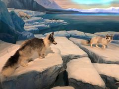 -陕西自然博物馆