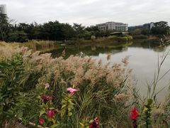 -福田红树林生态公园
