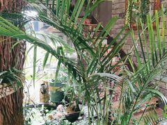 -西西里轰趴日租聚会别墅·团建拓展