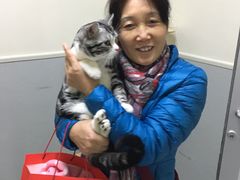 -谐和益家动物医院·免疫绝育·血液透析·宠保定点医院(高新伊藤分院)