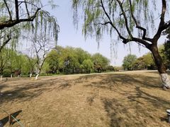 -柳浪闻莺公园