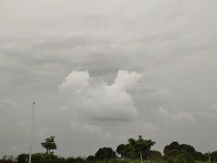 -麦当劳(电白服务区店)