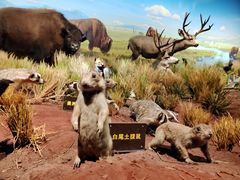 -陕西自然博物馆