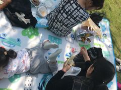 -枫香湖儿童公园