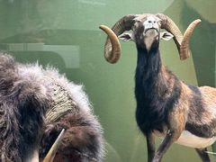 -国家自然博物馆