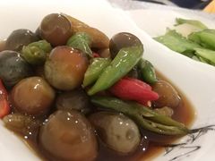 泡椒小皮蛋-楼兰印象(朝外店)