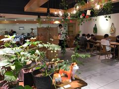 大堂-柴务处·柴犬主题狗咖