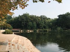 -泰州凤城河风景区-泰山公园