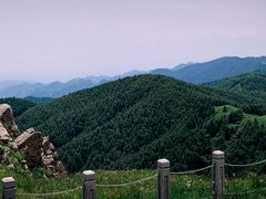 -苏木山森林公园