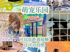 -南戴河国际娱乐中心