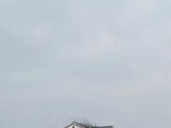 -大塘金香草谷